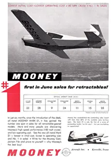 Mooney: Mooney Mark 21