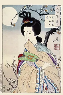 Plum: In the Moonlight Under the Trees
