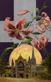 Moonlit: Moonlit Cathedral