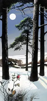 Shannon: Moonlit Landscape in Snow