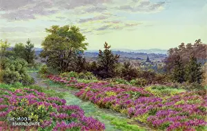 The Moor, Harrogate, North Yorkshire