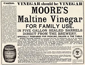Aug20: Moore's Maltine Vinegar advertisement