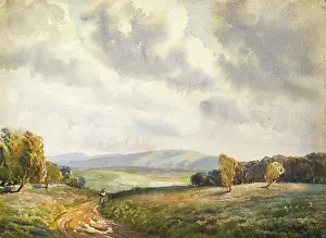 Moors: Moorland landscape