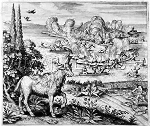Olaus: MOOSE (ELK)/OLAUS/HUNTS