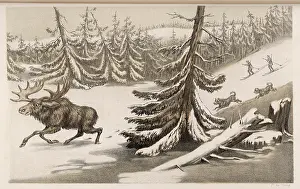 Moose: MOOSE/ELK SWEDEN 1855