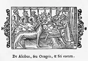 Moose: MOOSE (ELK)/TAMED/OLAUS