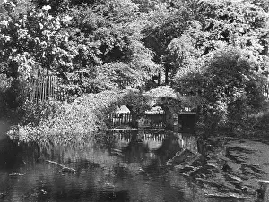 Diverted: MORDEN HALL PARK