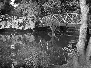 Morden: MORDEN HALL PARK