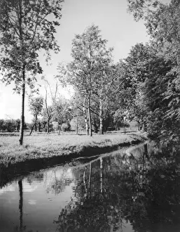 Gilliat: MORDEN HALL PARK