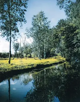 Gilliat: MORDEN HALL PARK