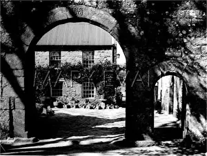 Morel: MOREL FARM, JERSEY