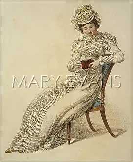 Lesley Bradshaw: MORNING DRESS 1823