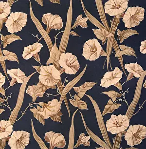 Glories: Morning Glories