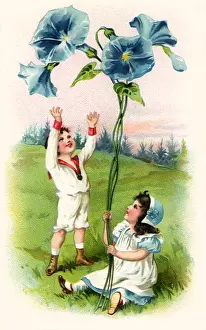 Bday: Morning Glories