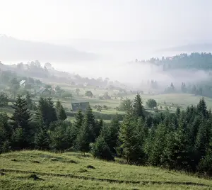 Peslyak: Morning in mountains, 1981