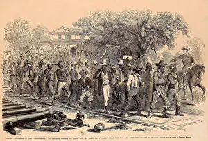 Freedmen: Morning Mustering of the Contraband, on their