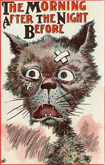 Plasters: The Morning After the Night Before