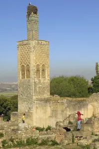 Maghrib: MOROCCO. Rabat. Chellah Necropolis. Minaret in
