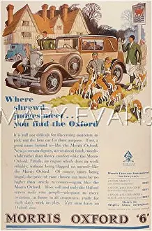Shrewd: MORRIS OXFORD 6