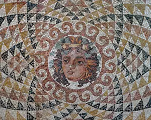 Razed: Mosaic, Archaeological Museum of Ancient Corinth, Corinth