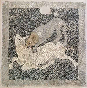 Peloponnisos: Mosaic, Archaeological Museum of Sparta, Sparta, Laconia