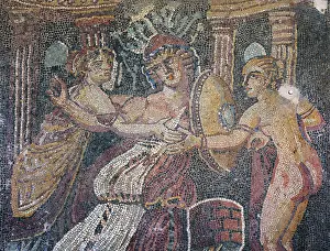 Syros: Mosaic, Archaeological Museum of Sparta, Sparta, Laconia