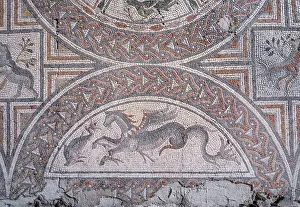Seahorse: Mosaic, Archaeological Museum, Split, Croatia