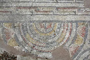 Volubilis: Mosaic, Baths of Gallienus, Volubilis, Meknes-Tafilalet