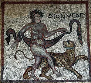 Aegean: Mosaic depicting Dionysus dancing with his panther. 4th cent