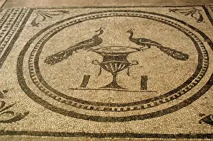Peacock: Mosaic depicting two peacocks on a vase