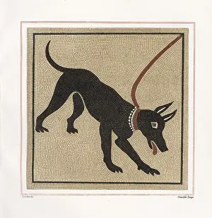 Primus: Mosaic of a dog from the porter's threshold