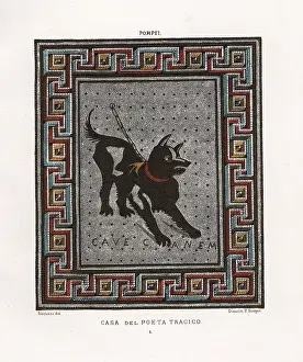Insulae: Mosaic of a guard dog on a chain from the