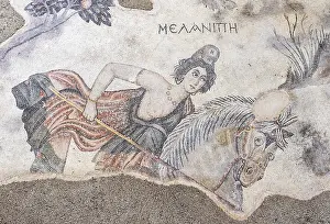 Museums: Mosaic, Haleplibahce Mosaic Museum, Urfa, Turkey