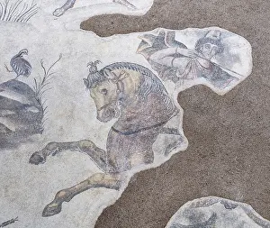 Museums: Mosaic, Haleplibahce Mosaic Museum, Urfa, Turkey
