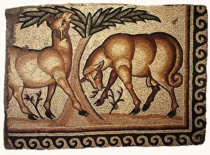 Lambs: Mosaic of Two Lambs