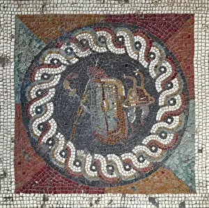 Interlaced: Mosaic medallion, House of the Cryptoporticus