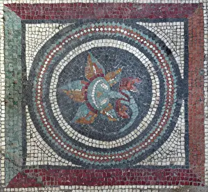 Rufi: Mosaic medallion, House of the Cryptoporticus