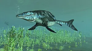 Solitude: Mosasaur swimming in the Meuse River