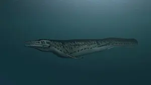 Mosasaur: Mosasaur swimming in prehistoric waters