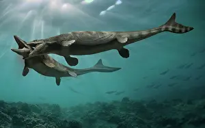 Threat: Two Mosasaurus reptiles fighting each other to