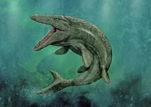 Squamata: Mosasaurus swimming