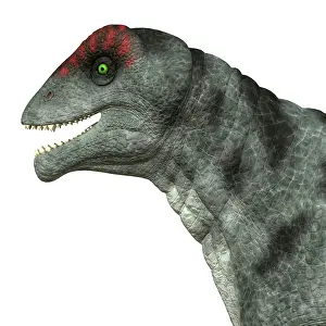 Moschops: Moschops dinosaur, white background