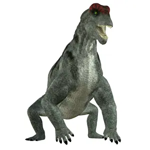 Moschops: Moschops dinosaur, white background
