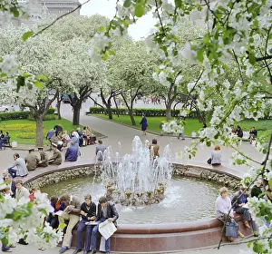 Blossoming: Moscow, 1983
