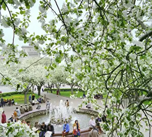 Blossoming: Moscow, 1983