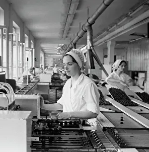 Samoilova: Moscow Babayev Confectionery