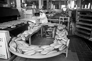 Kavashkin: Moscow bread-baking plant ?22, 1980