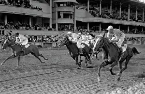 Jockeys: Moscow central race track