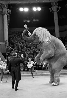 Tamer: Moscow circus, 1969