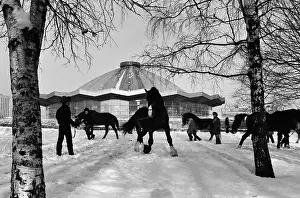 Troupe: Moscow Circus on Lenin hills